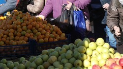 Более 40 производителей привезут продукты на ярмарки в Ставрополе